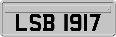 LSB1917