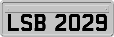 LSB2029