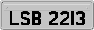 LSB2213