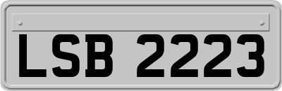 LSB2223