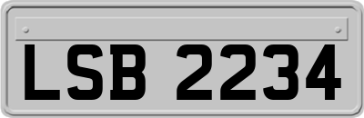 LSB2234