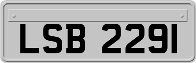 LSB2291