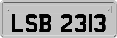 LSB2313