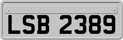 LSB2389