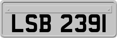 LSB2391