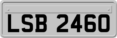 LSB2460