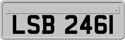 LSB2461