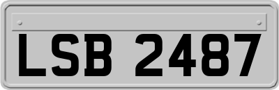 LSB2487