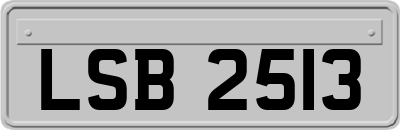 LSB2513