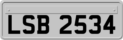 LSB2534