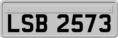 LSB2573