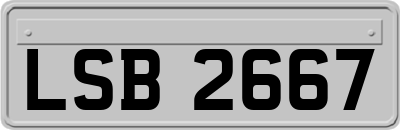 LSB2667