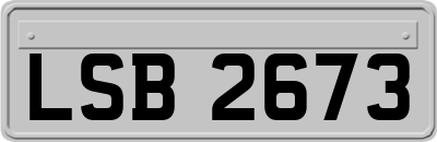 LSB2673