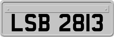 LSB2813