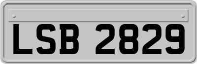 LSB2829