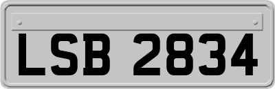 LSB2834