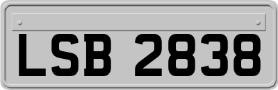 LSB2838
