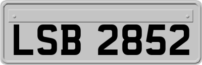 LSB2852
