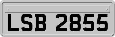 LSB2855