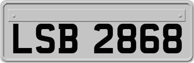 LSB2868