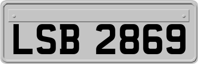 LSB2869