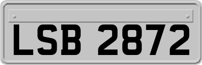 LSB2872