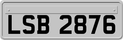 LSB2876