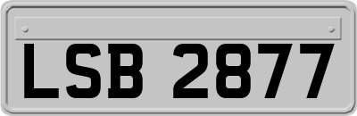 LSB2877