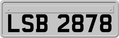LSB2878