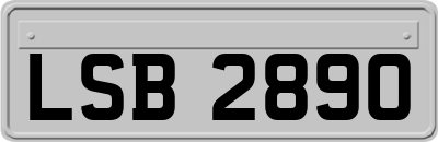 LSB2890