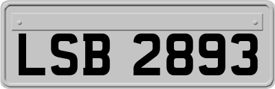 LSB2893