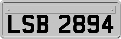LSB2894