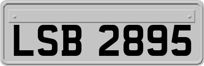 LSB2895