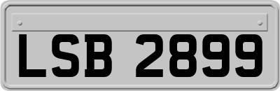 LSB2899