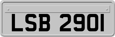 LSB2901