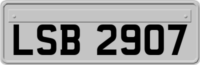 LSB2907