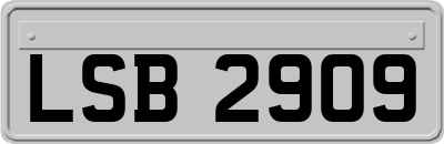 LSB2909