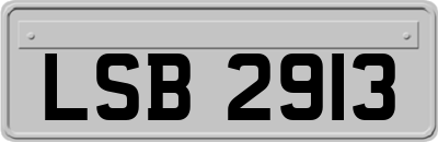 LSB2913