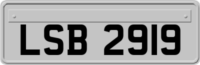 LSB2919