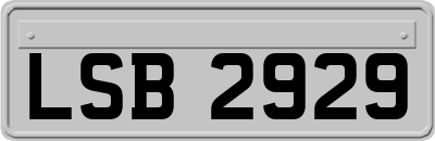 LSB2929