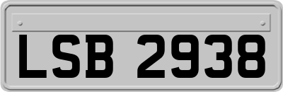 LSB2938