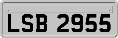 LSB2955