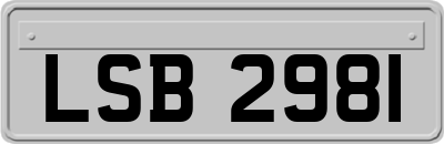 LSB2981