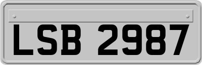 LSB2987