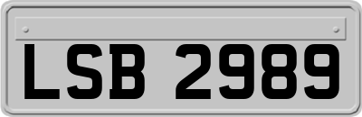 LSB2989