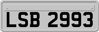LSB2993