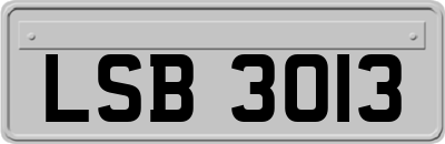LSB3013