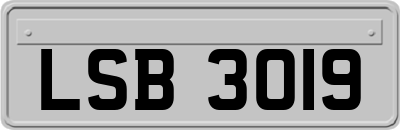 LSB3019