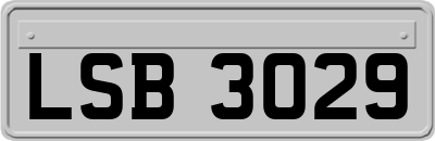 LSB3029