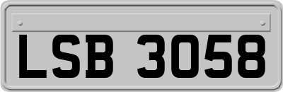 LSB3058